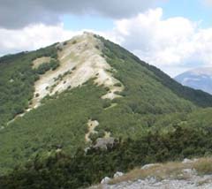 MONTE CARAMOLO